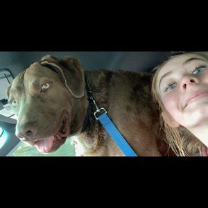 Meet your Posher, Danika